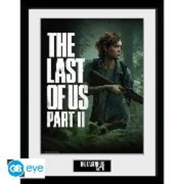 Bild von THE LAST OF US PART II - Framed print "Ellie"