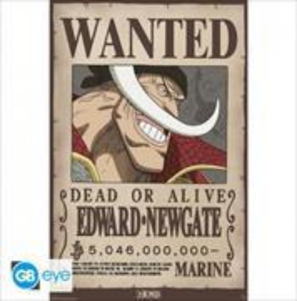 Bild von ONE PIECE - Poster Maxi - Wanted Whitebeard