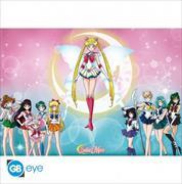 Bild von SAILOR MOON - Poster Maxi - Sailor warriors*