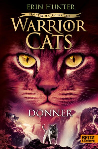 Bild zu Warrior Cats - Ein sternenloser Clan. Donner