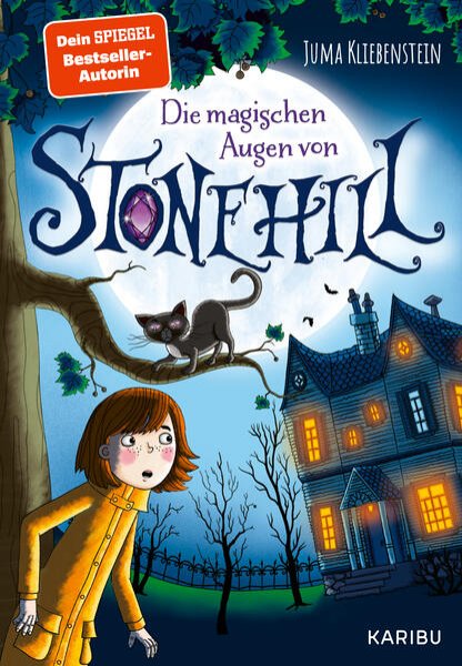 Bild zu Die magischen Augen von Stonehill