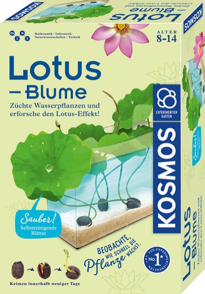 Bild zu Lotus-Blume