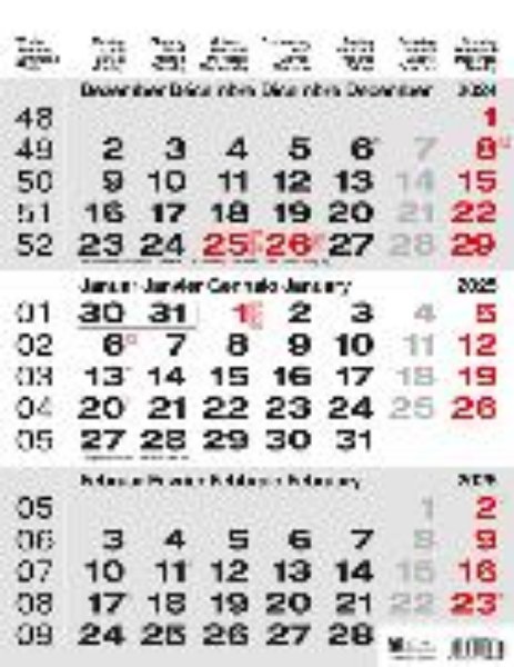 Bild von 3-Monatskalender GRAU 2025